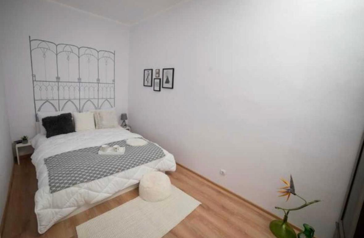 تيميشورا Charming Apartament City Center المظهر الخارجي الصورة